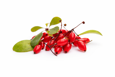 BERBERINE